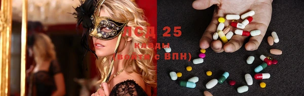 прущие крисы Лабытнанги