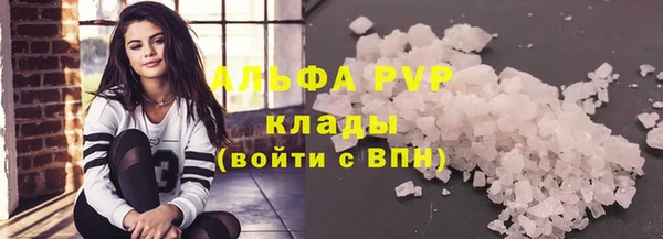 гашик Ладушкин