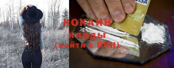 гашик Ладушкин