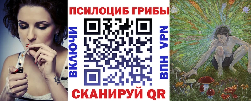 Галлюциногенные грибы Psilocybe Купить Темников